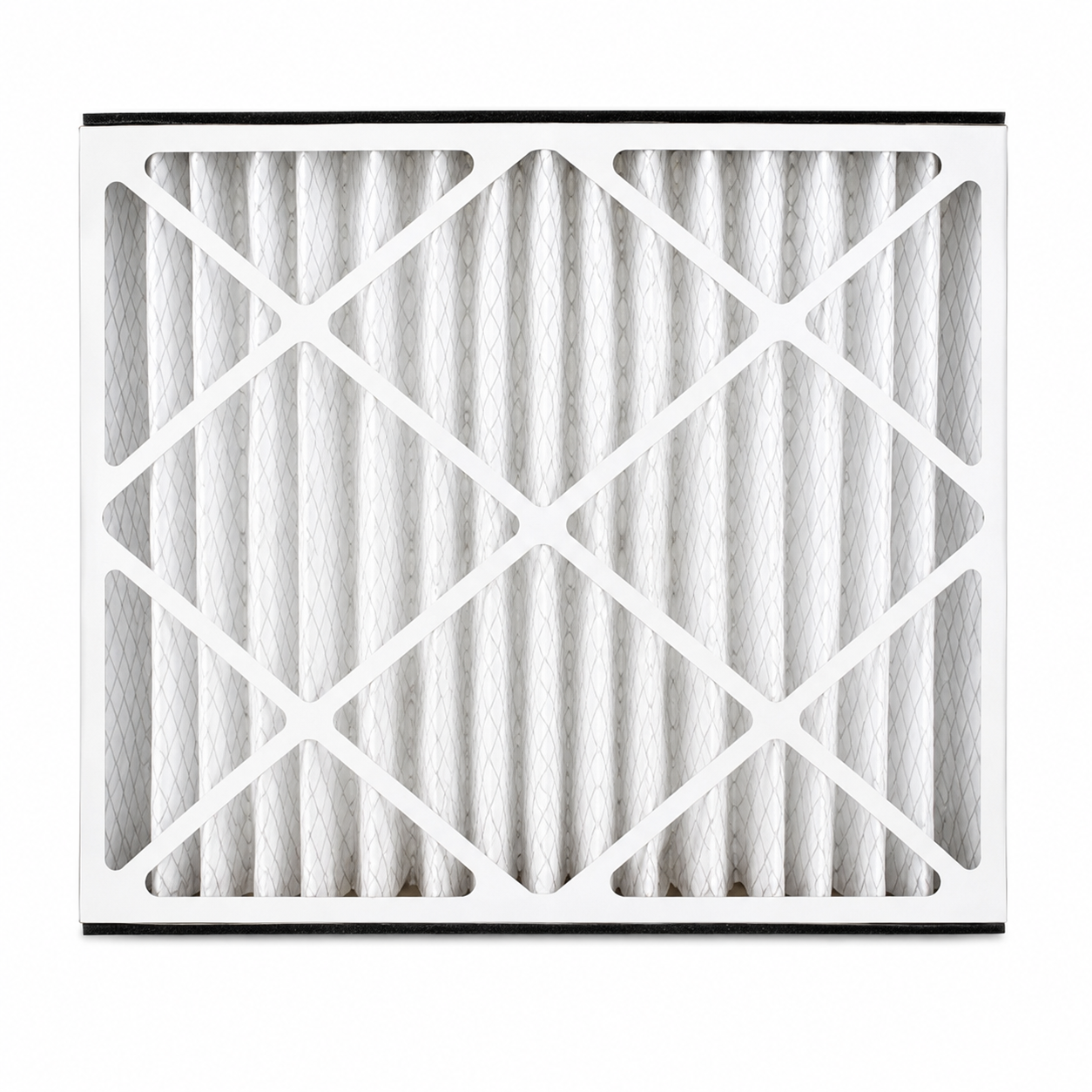Air Bear 5-Inch Pleated Filters